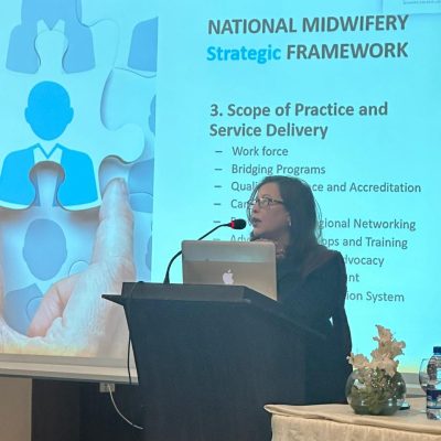 presentation-by-tasneem-afshan-vice-president-of-the-midwifery-association-of-pakistan-04